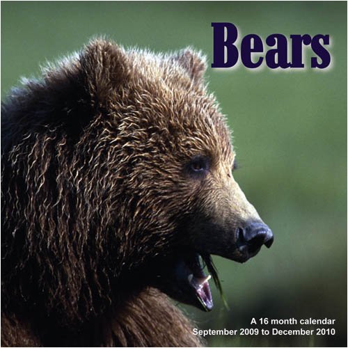 Bears 2010 Wall Calendar (9781602546240) by Magnum