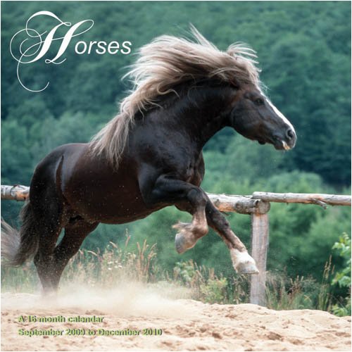 Horses 2010 Wall Calendar (9781602546332) by Magnum