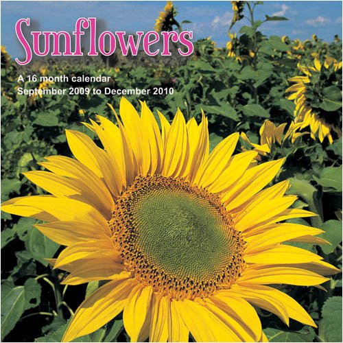 Sunflowers 2010 Wall Calendar (9781602546486) by Magnum
