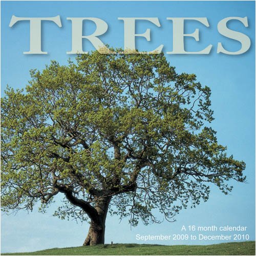 Trees 2010 Wall Calendar (9781602546875) by Magnum