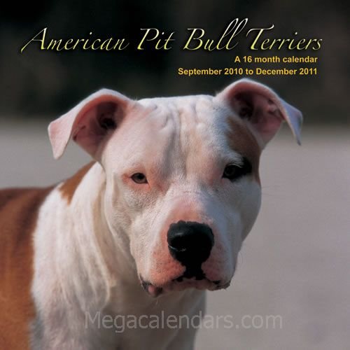 American Pit Bull Terrier 2011 Calendar #MGDOG03 (9781602546974) by Magnum