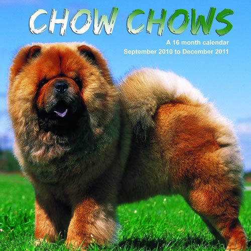 Chow Chows 2011 Calendar MGDOG20 (9781602547155) by Magnum