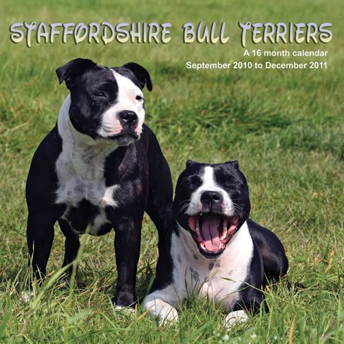 Staffordshire Bull Terriers 2011 Calendar MGDOG55 (9781602547490) by Magnum