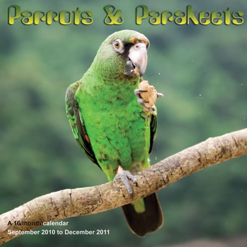 Parrots and Parakeets 2011 Calendar MGANM13 (9781602547711) by Magnum