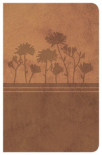 Stock image for Biblia Clsica Edicin Especial: Ocre (Spanish Edition) for sale by Ergodebooks
