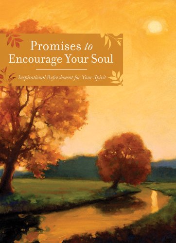 Beispielbild fr Promises to Encourage Your Soul zum Verkauf von WorldofBooks
