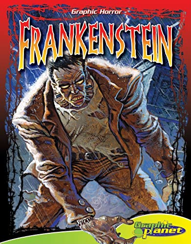Stock image for Frankenstein (Graphic Horror) for sale by Discover Books