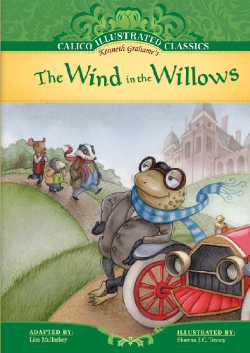 Stock image for Wind in the Willows (Calico Illustrated Classics) for sale by BuenaWave