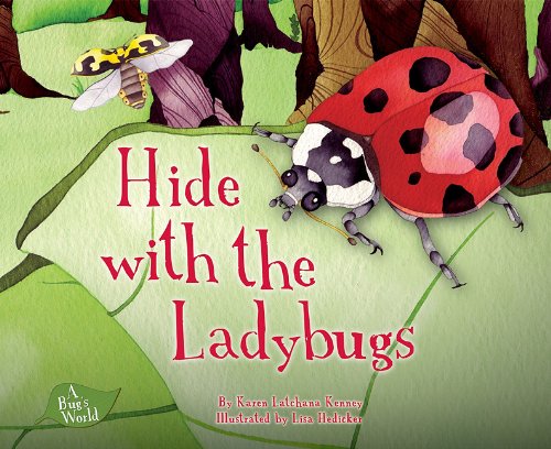 Beispielbild fr Hide with the Ladybugs zum Verkauf von ThriftBooks-Atlanta