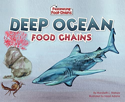 Imagen de archivo de Deep Ocean Food Chains a la venta por Better World Books