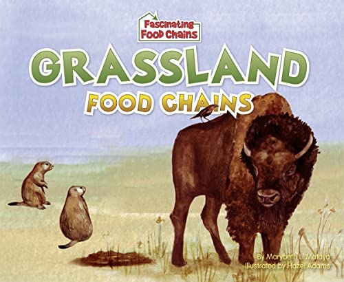 Imagen de archivo de Grassland Food Chains a la venta por Better World Books