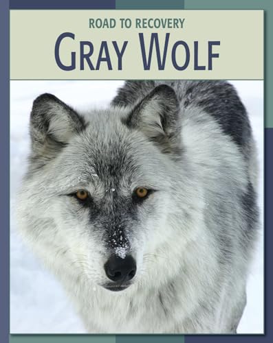 Gray Wolf (21st Century Skills Library: Road to Recovery) (9781602790308) by Somervill, Barbara A