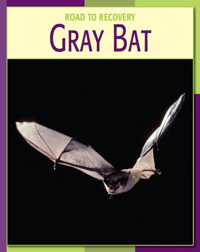 9781602790377: Gray Bat (21st Century Skills Library: Road to Recovery)