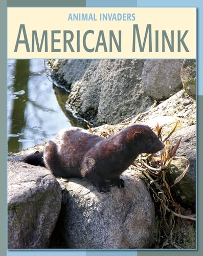 9781602791145: American Mink (21st Century Skills Library: Animal Invaders)