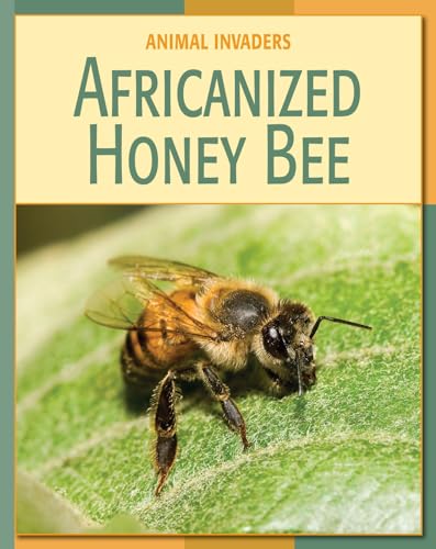 Stock image for Africanized Honey Bee for sale by Better World Books