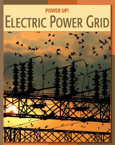 9781602791770: Electric Power Grid Electric Power Grid (Power Up!)