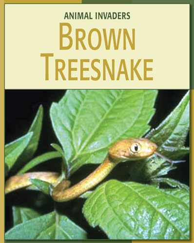 Beispielbild fr Brown Treesnake zum Verkauf von Better World Books