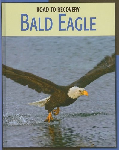 9781602793170: Bald Eagle (Road to Recovery)