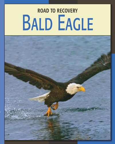 9781602793170: Bald Eagle (21st Century Skills Library: Road to Recovery)