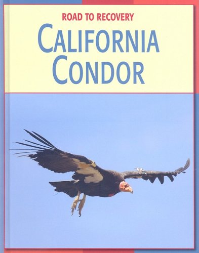 Imagen de archivo de California Condor a la venta por Better World Books