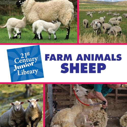 Beispielbild fr Farm Animals: Sheep zum Verkauf von Better World Books