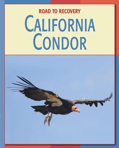 California Condor (Road to Recovery) (9781602795594) by [???]