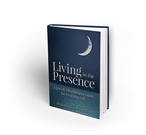 Stock image for Living in the Presence: A Jewish Mindfulness Guide for Everyday Life for sale by Revaluation Books