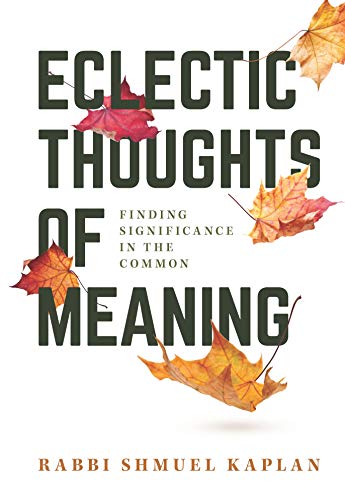 Stock image for Eclectic Thoughts of Meaning: Finding Meaning in the Common for sale by ThriftBooks-Atlanta