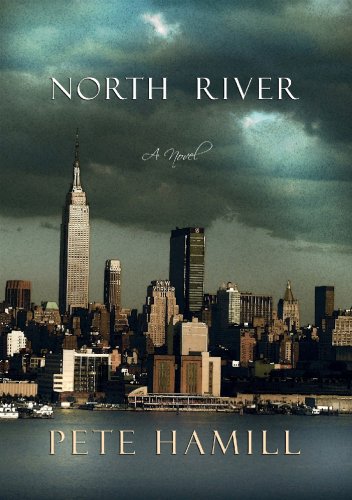 Imagen de archivo de North River: A novel a la venta por More Than Words