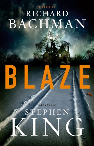 9781602850613: Blaze (Platinum Mystery Series)