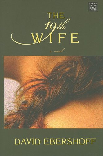 Stock image for The 19th Wife for sale by Irish Booksellers
