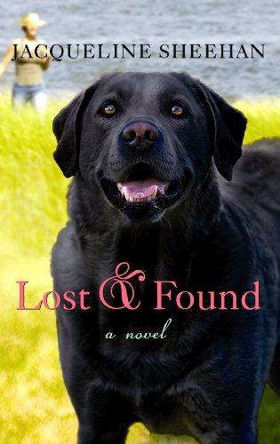 9781602855625: Lost & Found