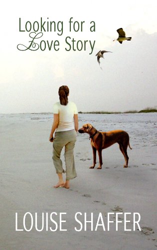 9781602857995: Looking for a Love Story (Center Point Platinum Fiction)
