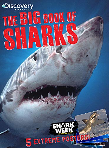 Stock image for Discovery Channel The Big Book of Sharks for sale by Gulf Coast Books