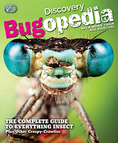Beispielbild fr Discovery Bugopedia: The Complete Guide to Everything Insect Plus Other Creepy-Crawlies zum Verkauf von Blue Vase Books