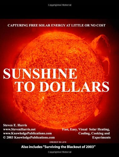Imagen de archivo de Sunshine To Dollars / Surviving the Blackout of 2003 a la venta por WorldofBooks