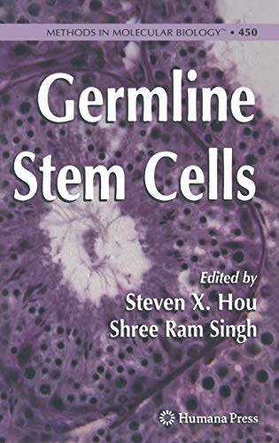 Beispielbild fr Germline Stem Cells. zum Verkauf von Gast & Hoyer GmbH