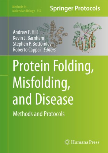 Beispielbild fr Protein Folding, Misfolding, and Disease Methods and Protocols zum Verkauf von Buchpark