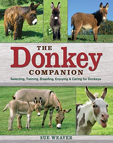 Beispielbild fr The Donkey Companion: Selecting, Training, Breeding, Enjoying Caring for Donkeys zum Verkauf von Sugarhouse Book Works, LLC