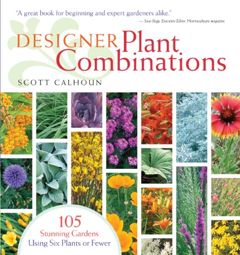 Stock image for Designer Plant Combinations: 105 Stunning Gardens Using Six Plants or Fewer for sale by ZBK Books
