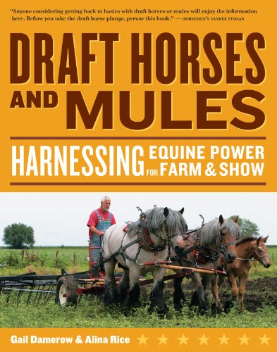 Beispielbild fr Draft Horses and Mules : Harnessing Equine Power for Farm and Show zum Verkauf von Better World Books