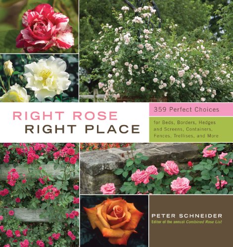 9781603424387: Right Rose, Right Place: 395 Perfect Choices for Beds, Borders, Hedges and Screens, Containers, Fences, Trellises, and More