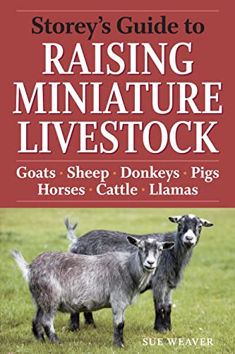 Beispielbild fr Storey's Guide to Raising Miniature Livestock: Goats, Sheep, Donkeys, Pigs, Horses, Cattle, Llamas zum Verkauf von HPB-Red