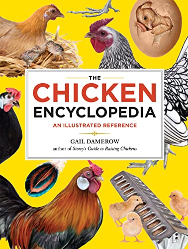 Beispielbild fr The Chicken Encyclopedia: An Illustrated Reference zum Verkauf von Bookoutlet1