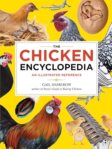 Stock image for The Chicken Encyclopedia: An Illustrated Reference for sale by Bookoutlet1