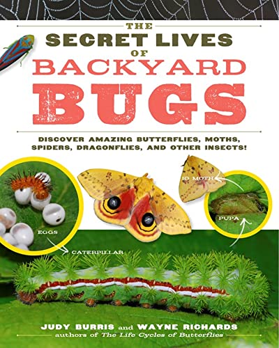 9781603425636: The Secret Lives of Backyard Bugs: Discover Amazing Butterflies, Moths, Spiders, Dragonflies, and Other Insects!