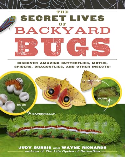 9781603425636: The Secret Lives of Backyard Bugs: Discover Amazing Butterflies, Moths, Spiders, Dragonflies, and Other Insects!