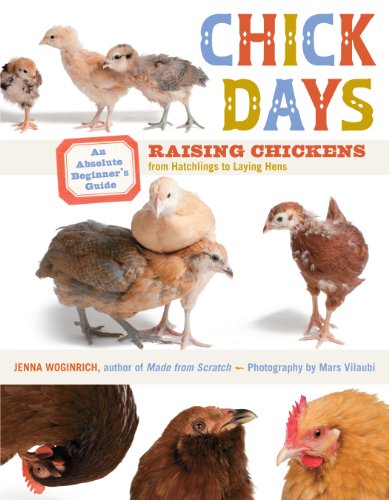 Stock image for Chick Days: An Absolute Beginner's Guide to Raising Chickens from Hatching to Laying for sale by Gulf Coast Books