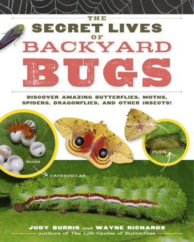 9781603429856: The Secret Lives of Backyard Bugs: Discover Amazing Butterflies, Moths, Spiders, Dragonflies, and Other Insects!