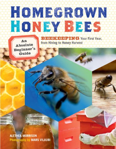 9781603429948: Homegrown Honey Bees: An Absolute Beginner's Guide to Beekeeping Your First Year, from Hiving to Honey Harvest